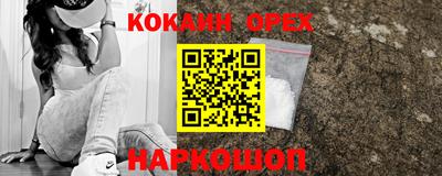 шишки Обь