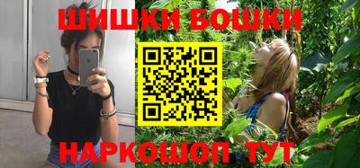 шишки Обь